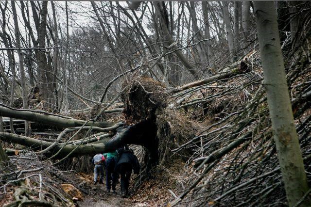 Na vrhu Šmarne gore bi se pohodniki najraje zjokali