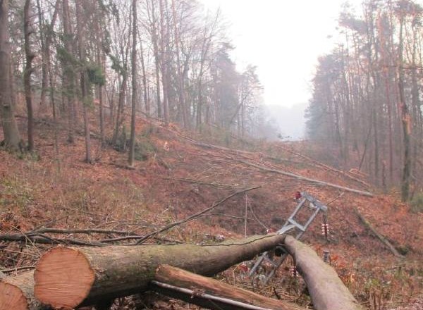 Na vrhu Šmarne gore bi se pohodniki najraje zjokali