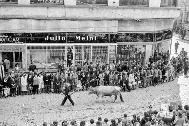 Vojak s komunistično zastavo in volom koraka po ulici Ljubljane. 9. maj 1945. (Foto: Jože Šmuc, hrani: Muzej novejše...