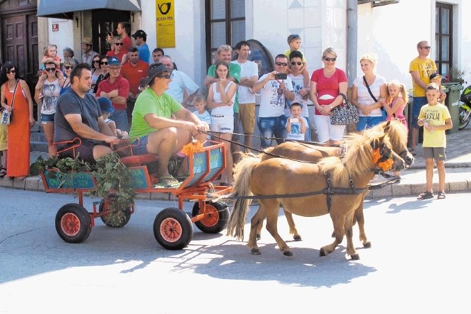 Dan hmeljarjev v Braslovčah: Ko se zbere in praznuje ves kraj