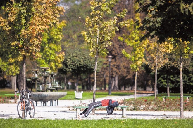 Krajinski park Tivoli, Rožnik, Šišenski hrib bo dobil upravljalca, ki bo skrbel, da se bodo obiskovalci in lastniki zemljišč...