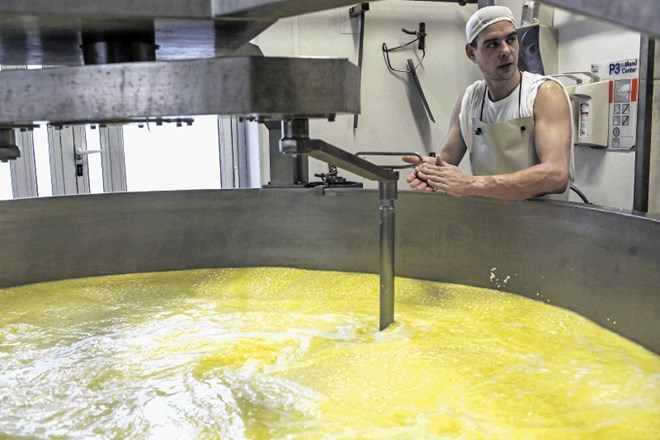 Mlekarna Planika ohranja živinorejo na Tolminskem, Kobariškem in Bovškem. NJihova posebnost so tradicionalni, okusa polni...