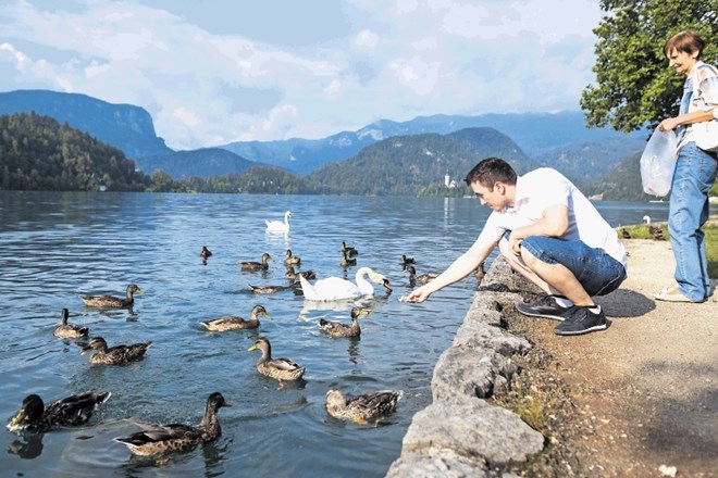 Mira in Mario Bender si vedno, ko obiščeta Bled, vzameta čas za hranjenje rac in labodov.