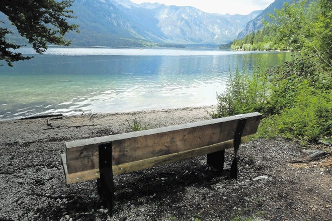 V zameno za denarni prispevek občina in Turizem Bohinj vzdržujeta klop in njeno okolico.