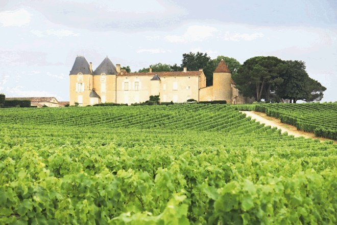 Chateau d'Yquem