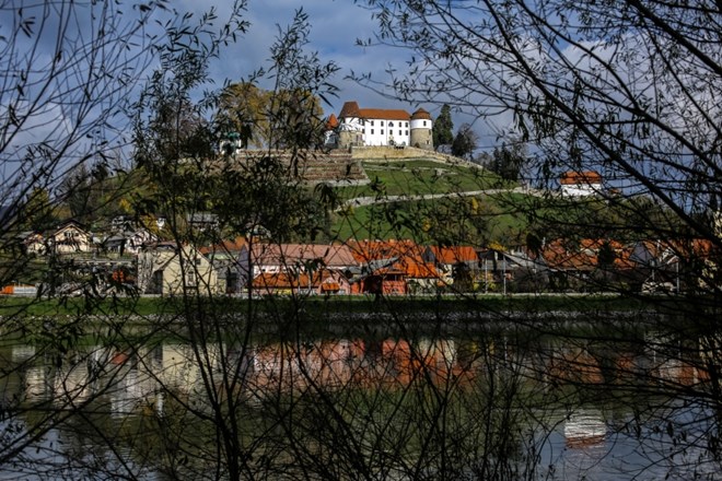 Sevnica