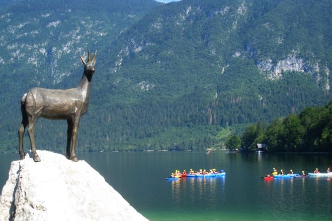 Nadškofija Ljubljana se v denacionalizacijskem postopku poteguje tudi za vrnitev zemljišč ob Bohinjskem jezeru. Ko je vode...