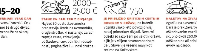 Povozi živali: kasko ni edina pot do odškodnine