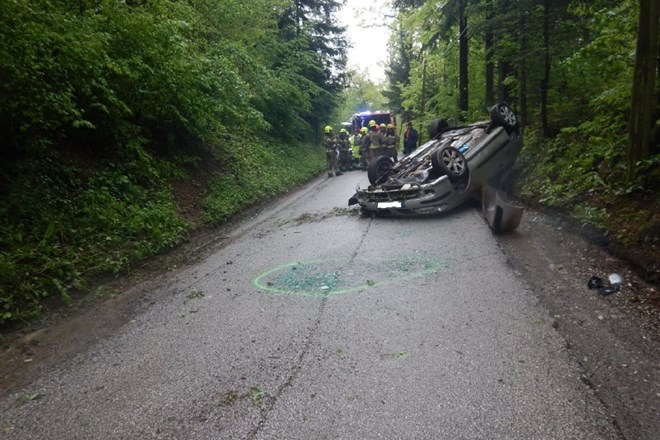 Povozi živali: kasko ni edina pot do odškodnine