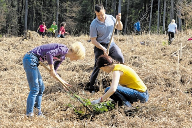 Okoli 90 udeležencev, večina je s seboj prinesla tudi orodje, je v enem dnevu posadilo 1500 dreves.