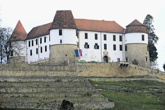 V združenje Gradovi Posavja so povezani gradovi Sevnica (na fotografiji), Brežice, Podsreda, Rajhenburg, Mokrice in nekdanji...