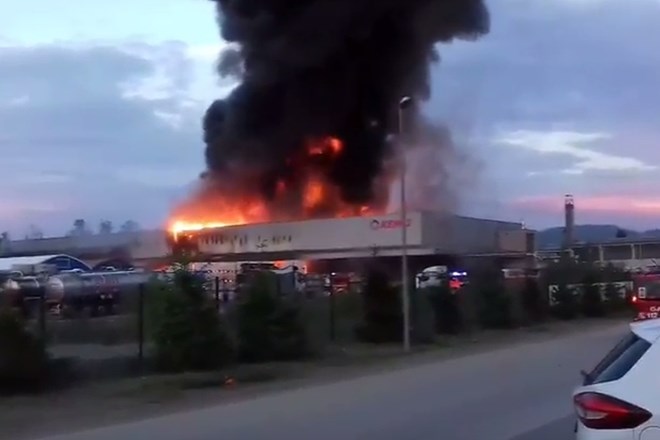 Zaradi kemikalij umrlo vse, kar je živelo v potoku ob tovarni