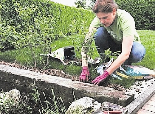 Nekdanja premierka Alenka Bratušek še vedno navdušeno vrtnari. Najbolj so ji pri srcu  vrtnice, ki jih goji na vrtu za domačo...