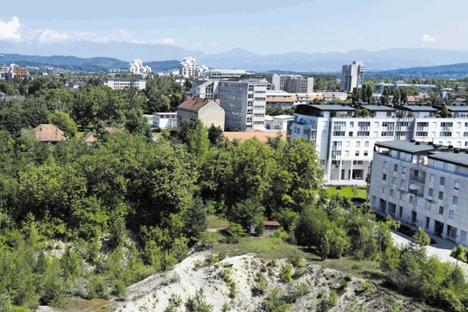 Velikanska gradbena jama, poleg katere je zrasla  soseska Bežigrajski dvor, se je v več kot dvajsetih letih dodobra zarasla.