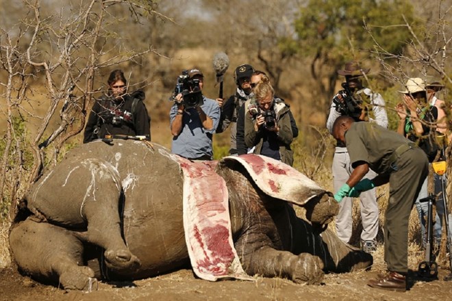 (Foto: Reuters)