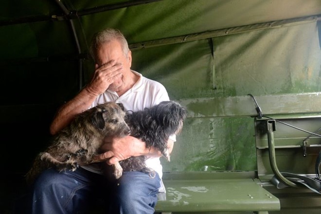 Številni so hišne ljubljenčke rešili pred katastrofalnimi poplavami, mnogi vendarle ostali zapuščeni