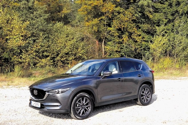 Peugeot 5008 in mazda CX-5: Recept s kančkom vsega in jed je odlična 