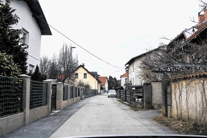 Ob Majde Šilčeve ulici so zrasle predvsem enodružinske hiše.