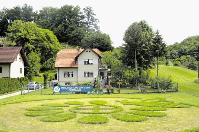 Viktor Richter velikanski simbol svetovnega dneva čebel vzdržuje s štirimi različnimi kosilnicami. »V dveh do treh dneh trava...