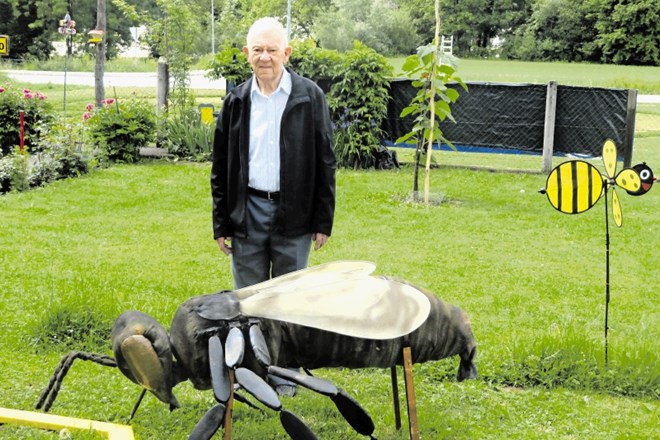 Pred hišo Viktorja in Marije Richter v Dovškem pri Senovem je letos vse v znamenju čebel.