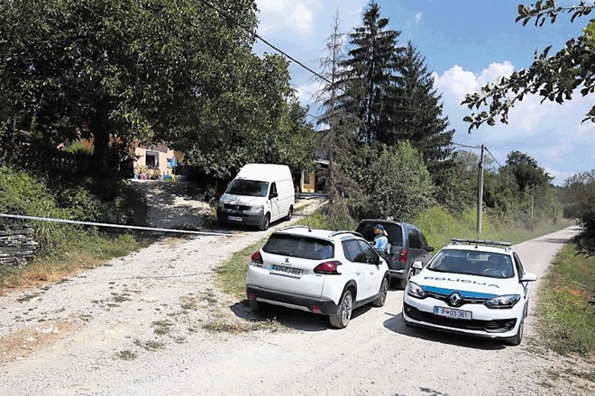 Ko so policisti v soboto dopoldne po makadamski cesti po dolini Dragonje prišli do ene od kmetij, so naleteli na napadalca in...