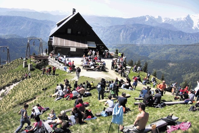 Maja je običajno, če so vremenske razmere ugodne, Koča na Golici zelo oblegana. Za to so krive tudi narcise, ki najprej...