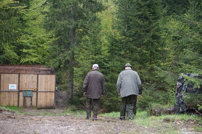 #foto #video Ris Goru je le nekaj minut počakal, preden je stekel v zavetje gozda