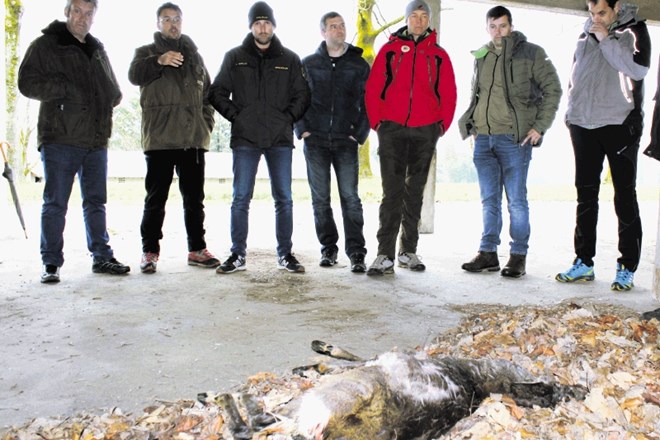 V Gotenici so se policisti na terenskem delu seznanili tudi s postopkom pristopa k najdenemu kadavru risa ali kakšne druge...