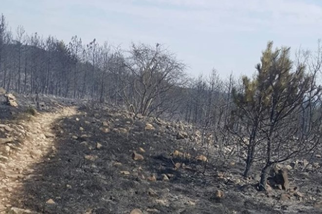 #foto Požar na Cerju skoraj pogašen, požarišče bodo še nadzorovali