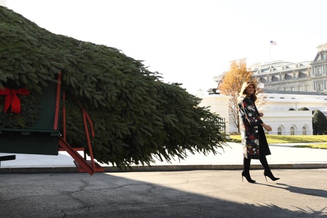 Prva dama ZDA Melania Trump je v ponedeljek uradno sprejela podarjeno božično drevo, ki so ga pripeljali iz Pensilvanije.