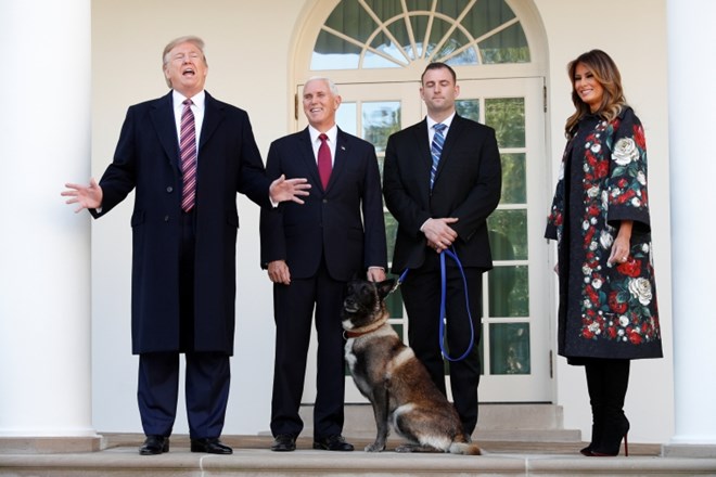 #foto Melania Trump sprejela v dar božično drevo Bele hiše