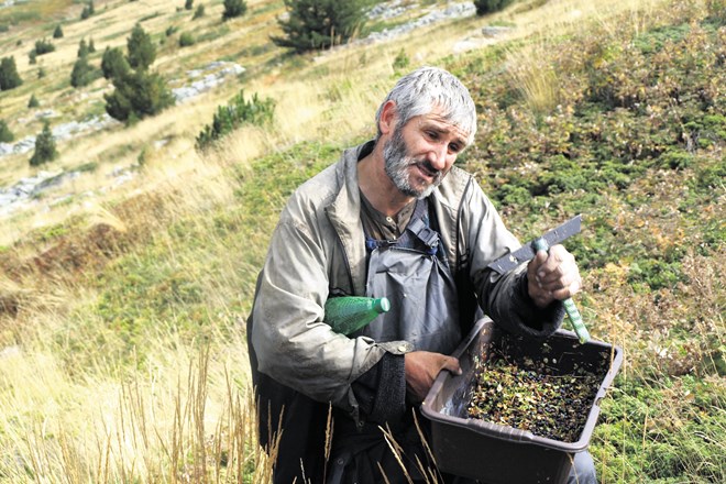 Kdor ustreli medveda, konča v zaporu