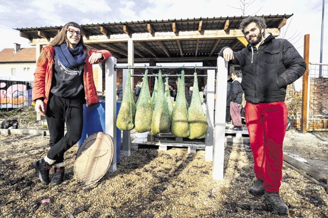 Ustanovitelja Gobnjaka ob pripravljenih vrečah s slamo