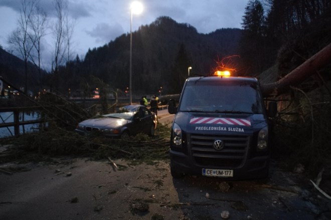 V Podvelki se je drevo podrlo na vozilo domačina,  ki je bil namenjen v službo.