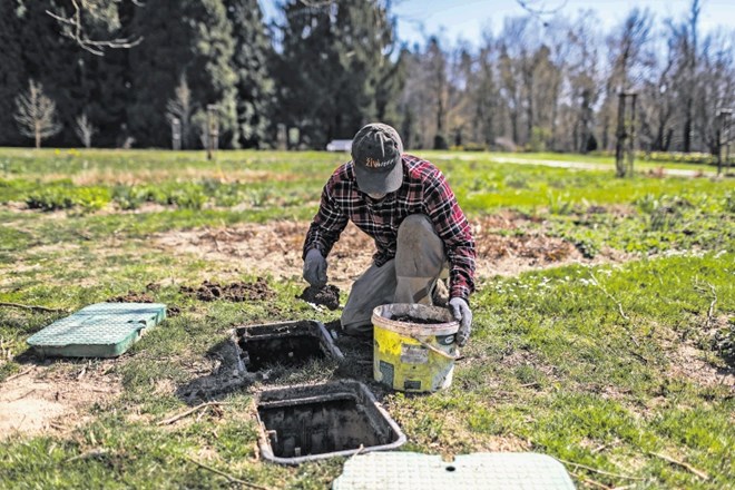 Med nujna vzdrževana dela sodi tudi čiščenje jaškov in ventilov za namakalni sistem, ki so jih zamašili krti.