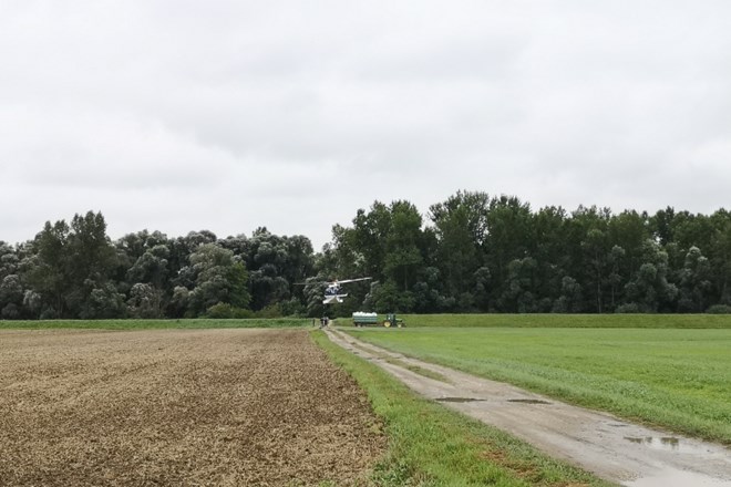 #foto #video Poželi, zapakirali in na traktor prepeljali s  helikopterjem  