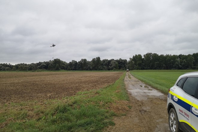 #foto #video Poželi, zapakirali in na traktor prepeljali s  helikopterjem  