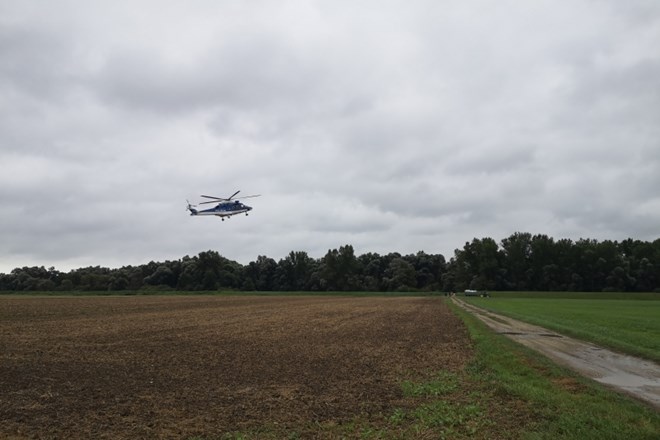 #foto #video Poželi, zapakirali in na traktor prepeljali s  helikopterjem  