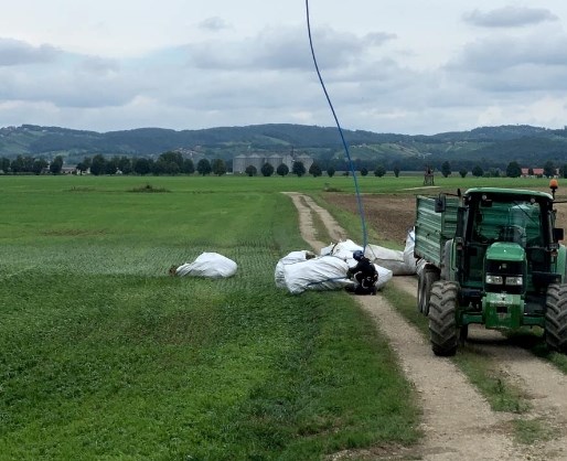 Policisti in kriminalisti zaradi nedostopnosti močvirnatega terena niso mogli z avtomobili in avti priti do sadik, zato so za...