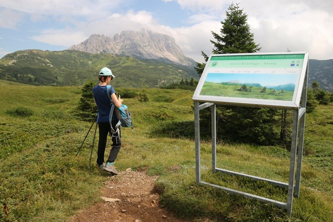 Karnijske Alpe: Visok, a travnat vrh