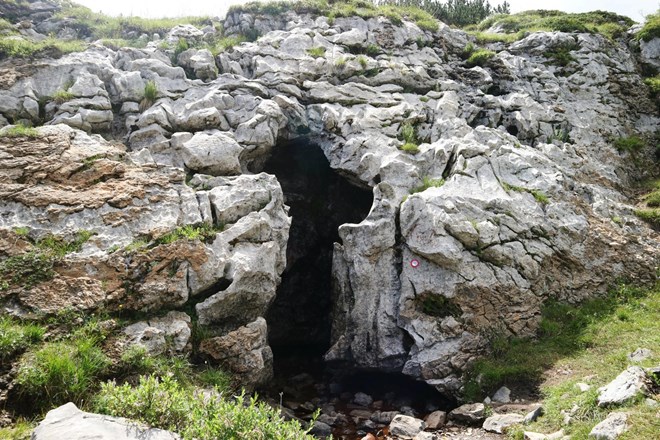 Karnijske Alpe: Visok, a travnat vrh