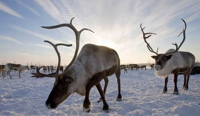 Fotografija je simbolična. (Foto: Reuters) 