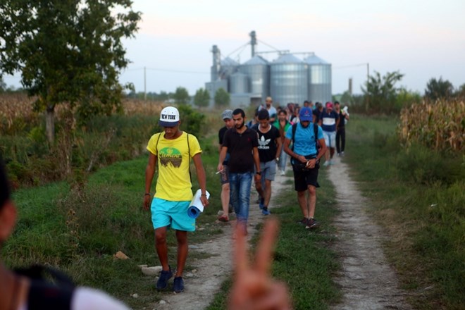 Fotografija je simbolična. (Foto: Bojan Velikonja) 