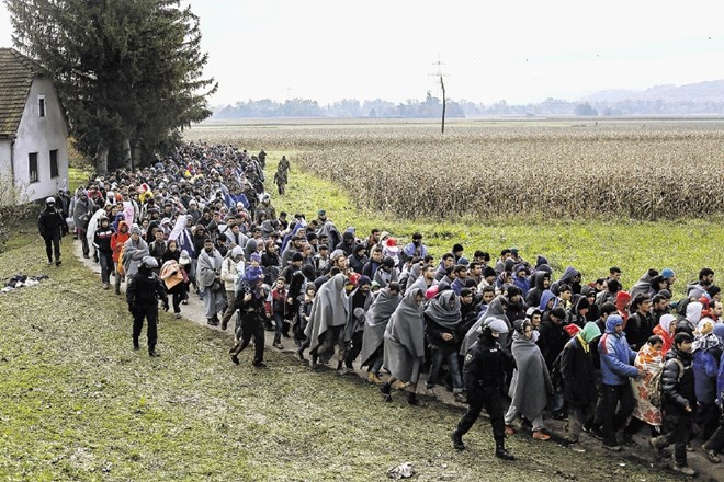 V Umarju za zdaj niso pripravljali ločenih ocen učinkov migrantov na gospodarstvo, saj begunci Slovenijo za zdaj le prečkajo....