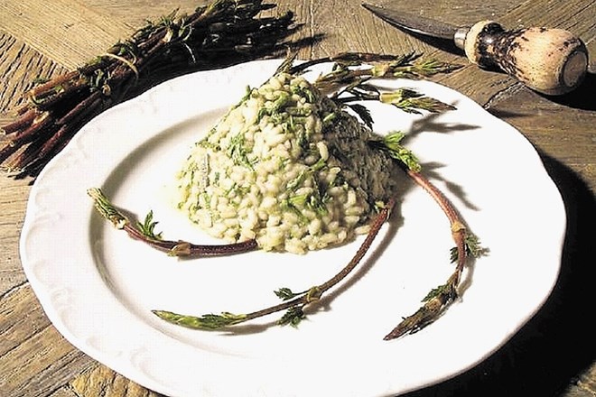 Rižota s poganjki divjega hmelja in sirom asiago