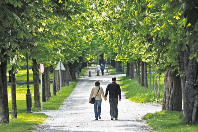 Snagi bi upravljanje krajinskega parka Tivoli, Rožnik in Šišenski hrib zaupali za pet let