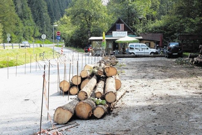 Namesto avtomobilov so na parkirišču pri Zelencih leseni hlodi, iz tal pa se dvigajo jeklenice.