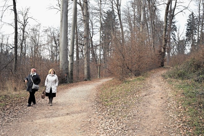 Na občini zagotavljajo, da bo vstop v krajinski park tudi v prihodnje brezplačen. Snaga, novi upravljalec parka, bo vstopnino...