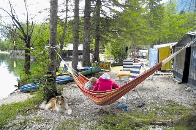 Novi lastniki bohinjskega kampa Zlatorog, dosedanji najemniki družba Kamp Zlatorog, d. o. o., se veseli zelene luči za...