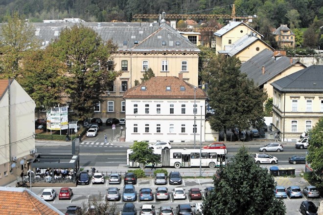 Vič v  primerjavi s Šiško in Savskim naseljem premore manj blokov in več zasebnih hiš, kar je vplivalo tudi na značilnosti...